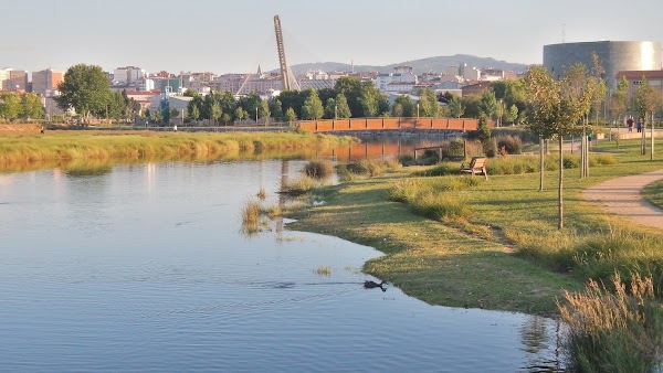Pontevedra 3