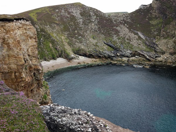 Portacloy 1