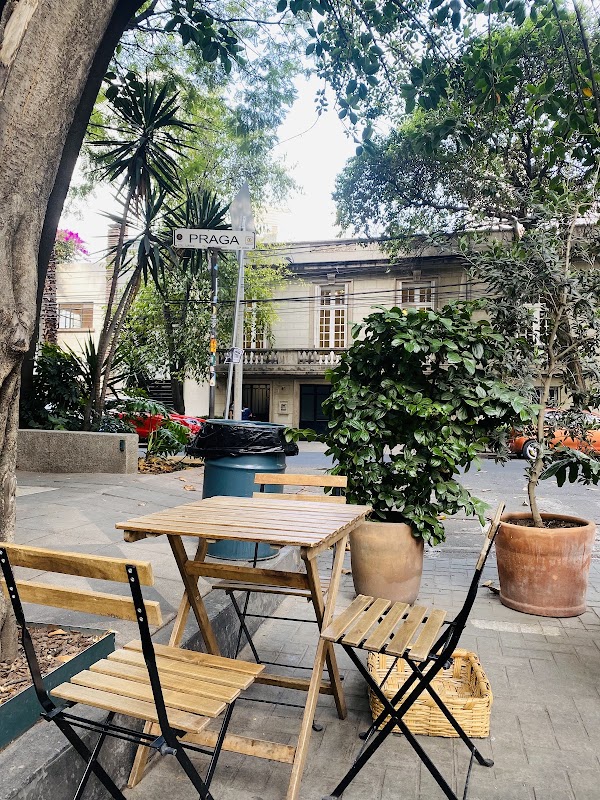 Niddo Café Juárez
