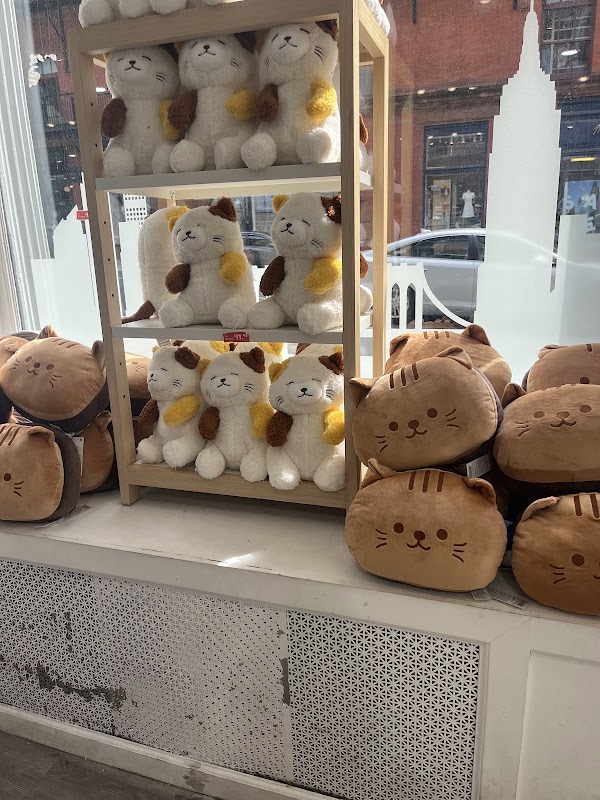 MINISO USA 3