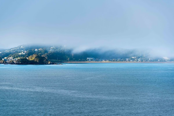 Bay Of Plenty 5
