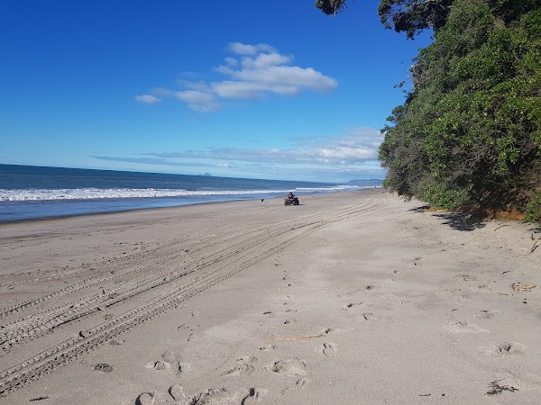 Bay Of Plenty 4