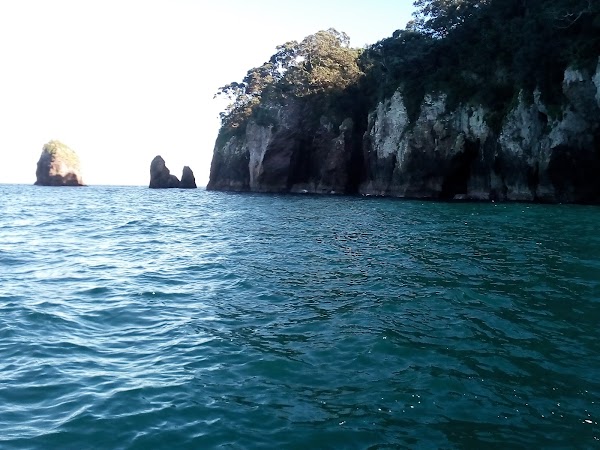 Bay Of Plenty 3