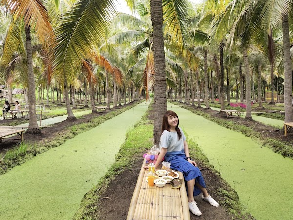 Coconut Market