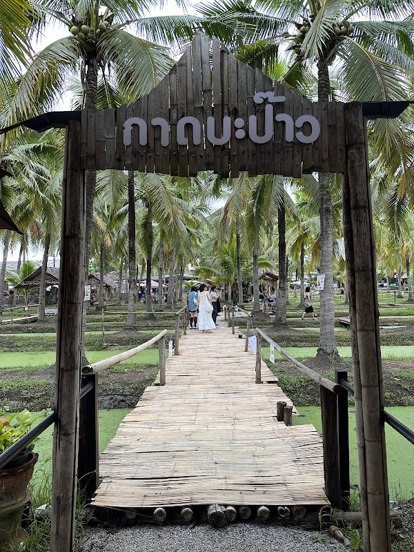 Coconut Market 4