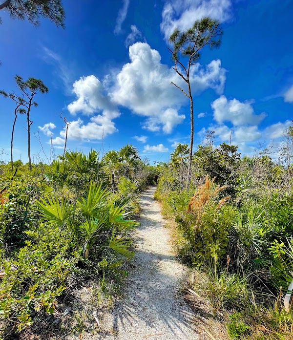 Watson and Mannillo Trails