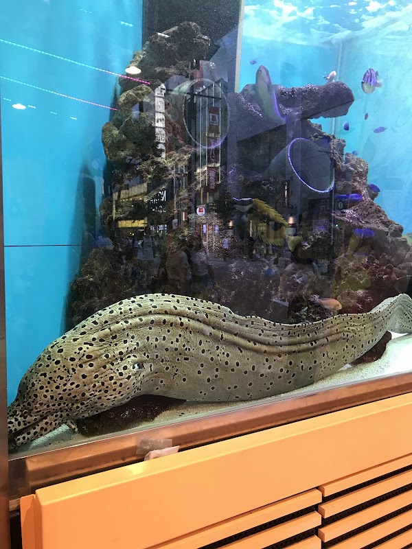 Don Quijote Shinjuku Tonanguchi 4