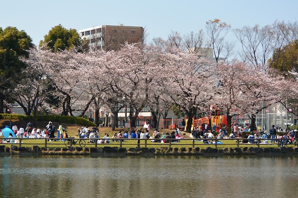 Ukima Park 5