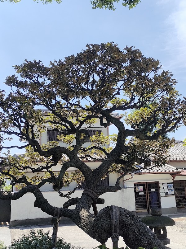 Kannon-ji 2