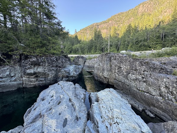 Wally Creek 1