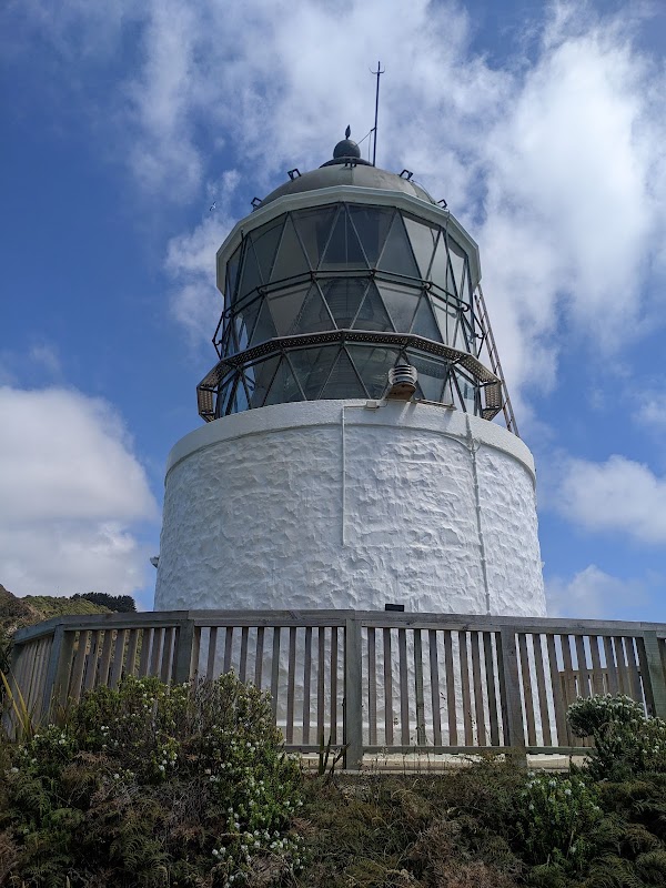 Nugget Point 3