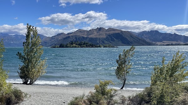 NZ 15