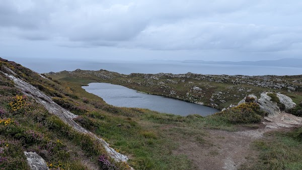 The Sheep's Head Way Ltd