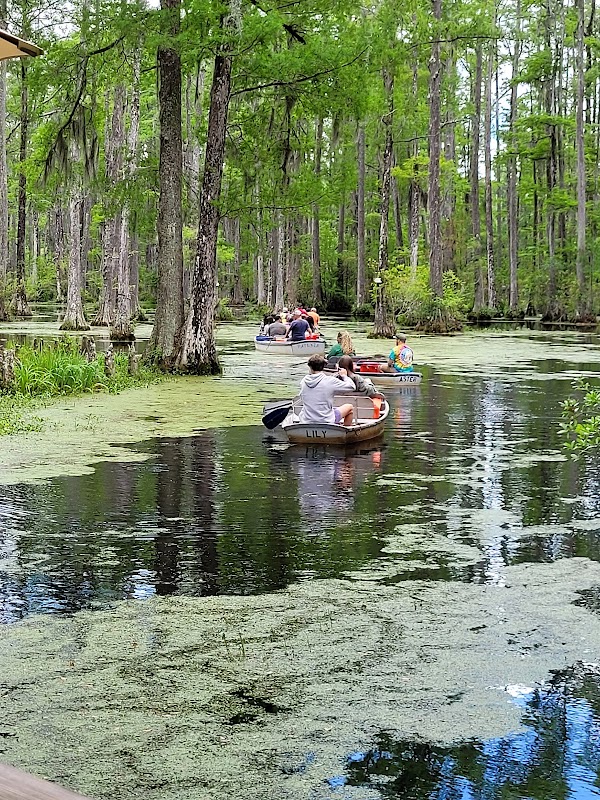 Cypress Gardens Road