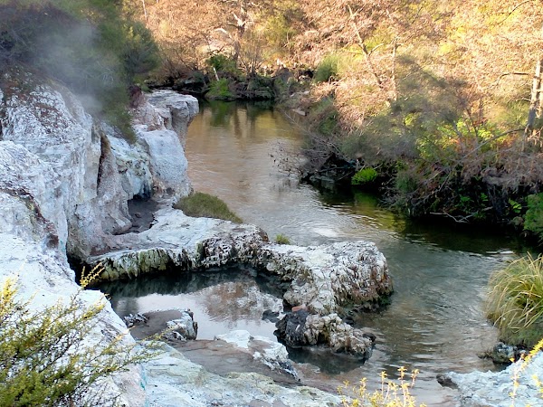 Whakarewarewa 5