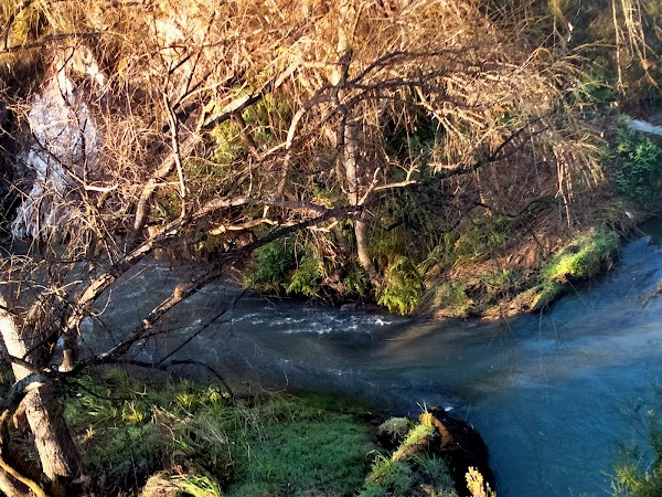 Whakarewarewa 4