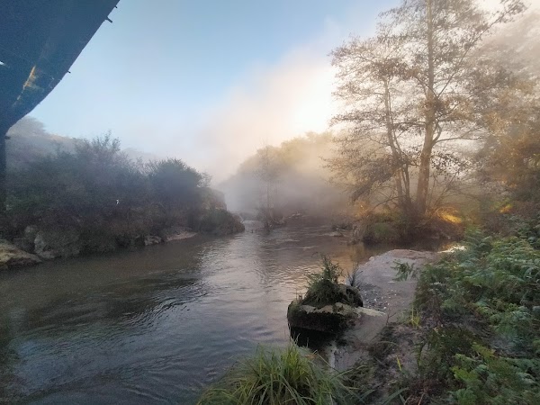 Whakarewarewa 3