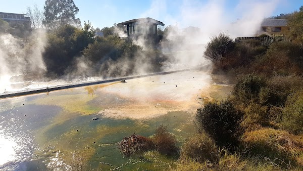 Whakarewarewa 2