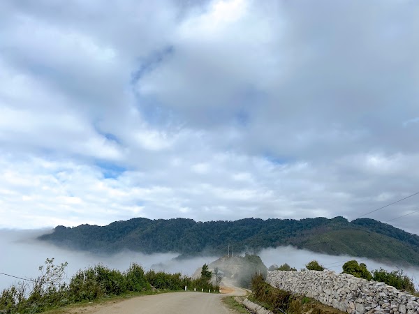 Ta Xua Nature Reserve 4