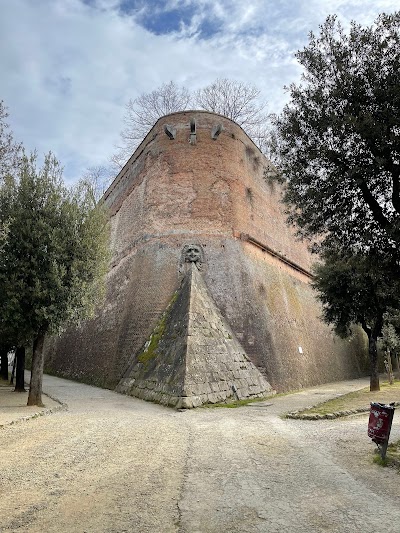 Siena 9