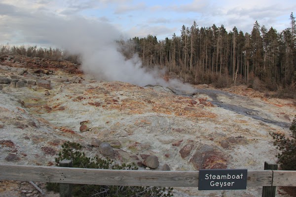 Emerald Spring 1