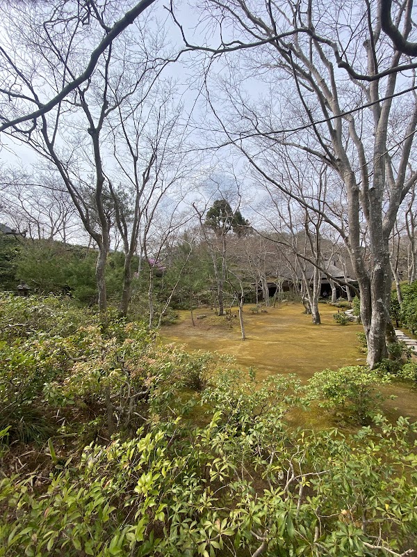 Chikurin 3