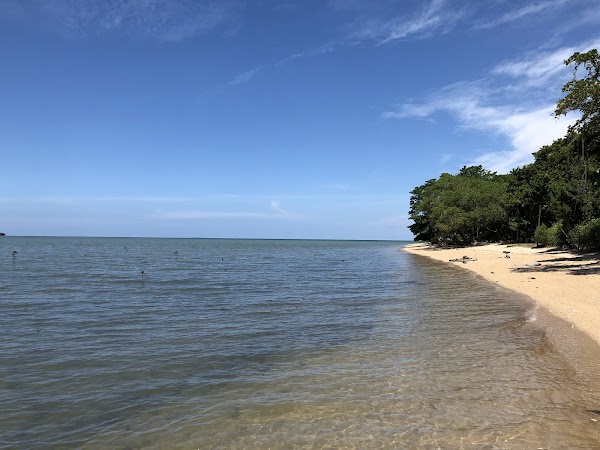 Walai Penyu Conservation Park, Libaran Island, Sandakan 5