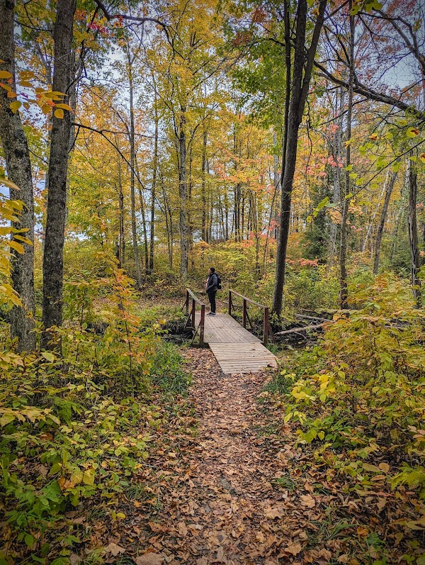Charleston Lake Provincial Park 2