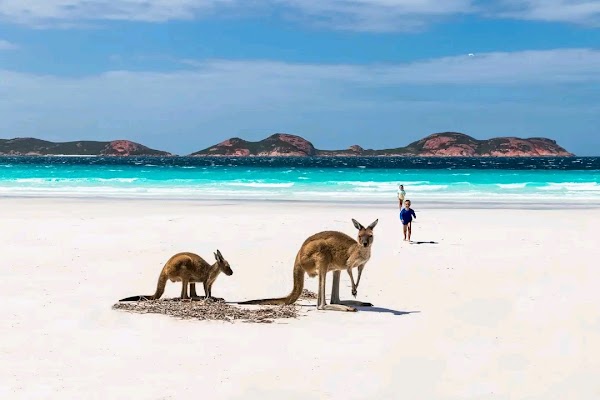 Lucky Bay 5