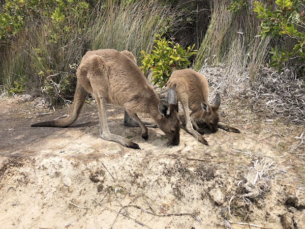 Lucky Bay 2