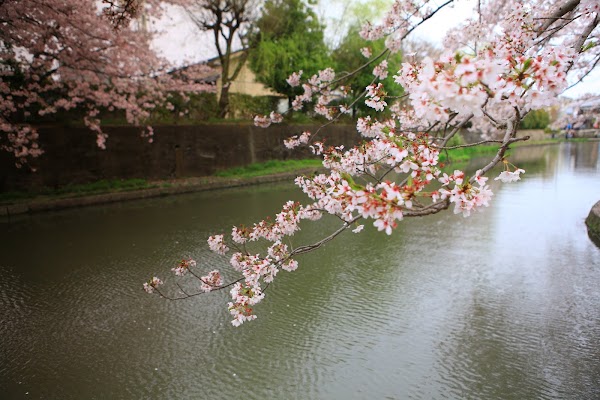 Omihachiman 3