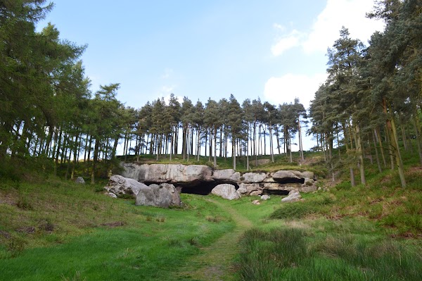 Saint Cuthbert's Cave Wood