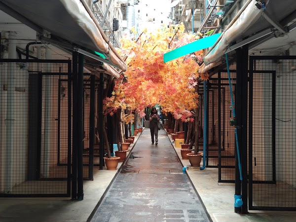 Siam Square Soi 2 2