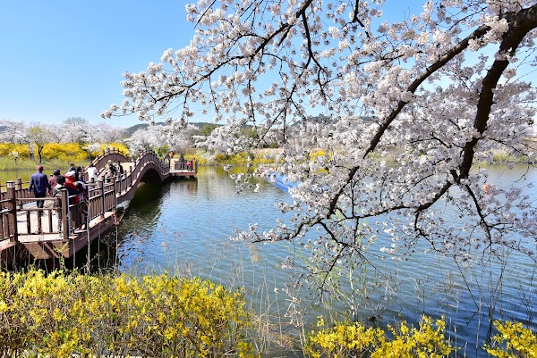 Bomun Lake Resort 5
