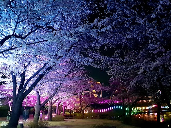 Bomun Lake Resort 4