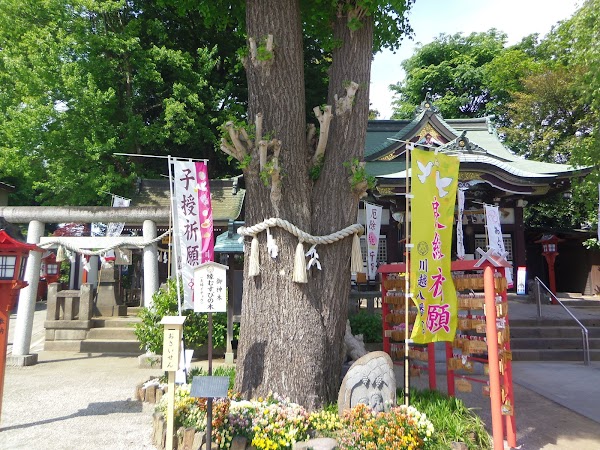 Kawagoe Hachimangu Shrine 4