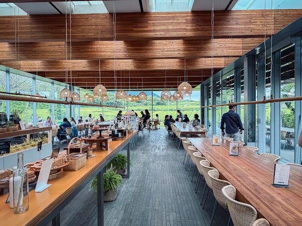 Innisfree Green Cafe 4
