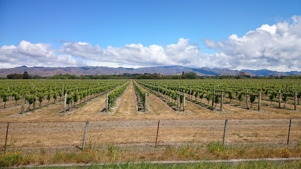 Marlborough District