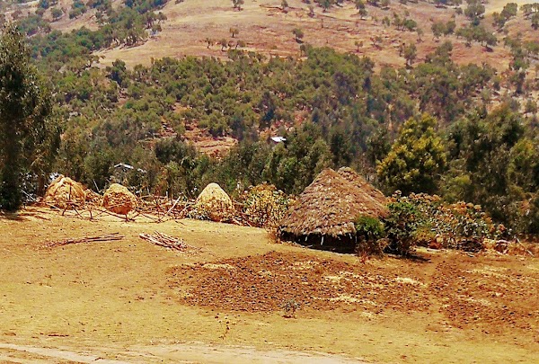 Semien Mountains 3