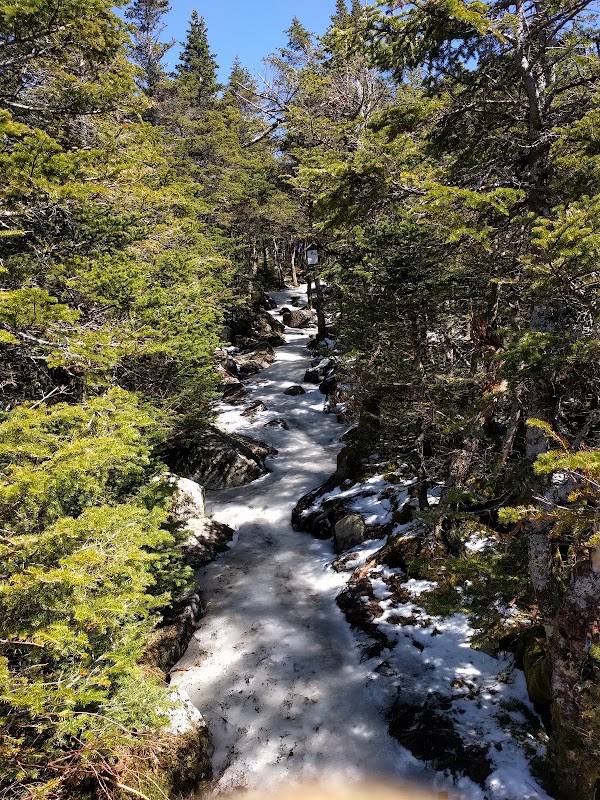 Greenleaf Trail 1