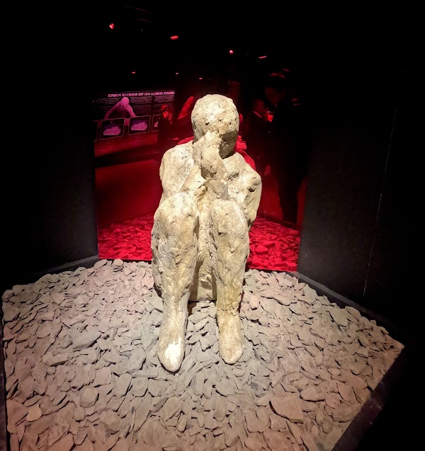 Pompeii London: The Immersive Exhibition 5