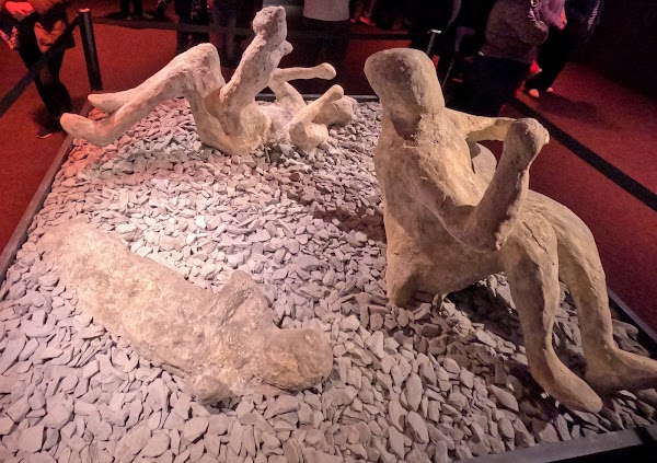 Pompeii London: The Immersive Exhibition 4