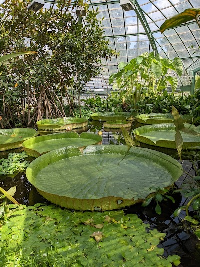 University of Basel Botanical Garden