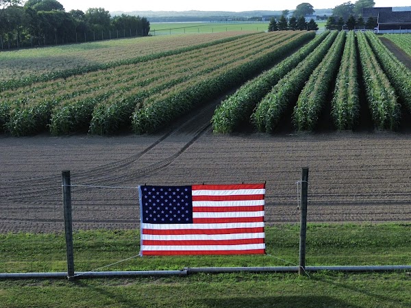 Halsey Farm & Nursery
