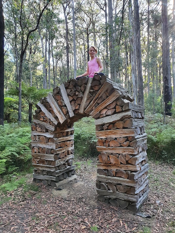 Toolangi State Forest 3