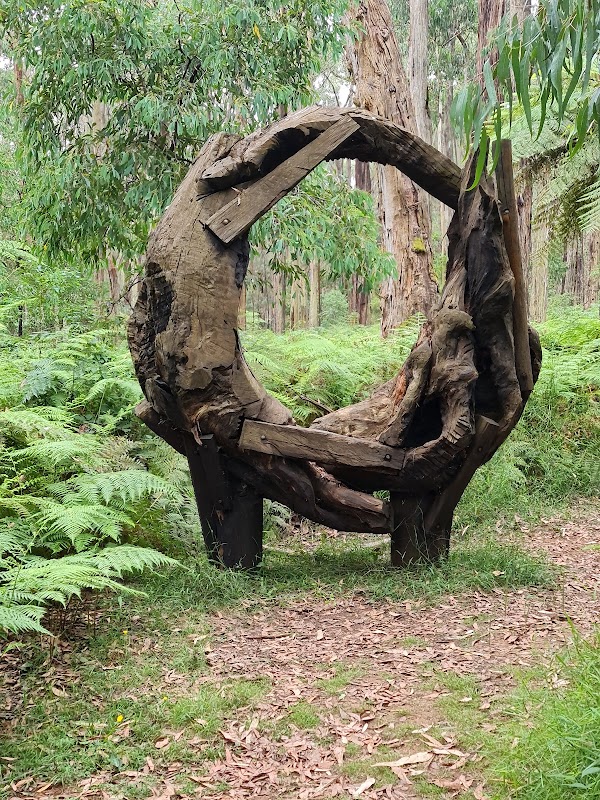 Toolangi State Forest 2