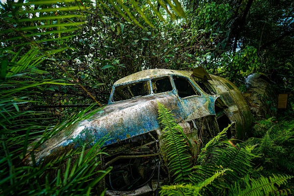 Kuranda Koala Gardens 2