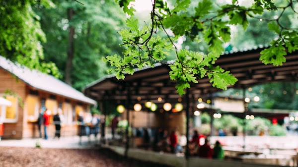 Konzertplatz Weißer Hirsch 4