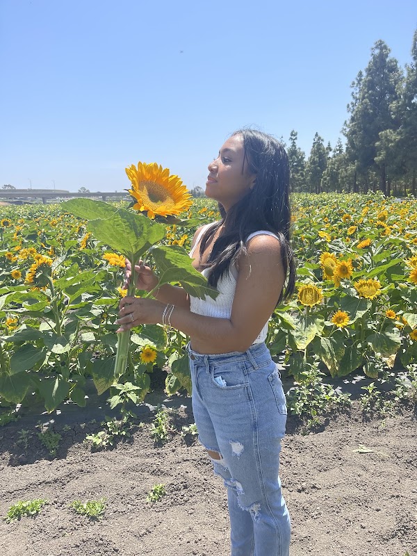 Tanaka Farms Hana Field 1
