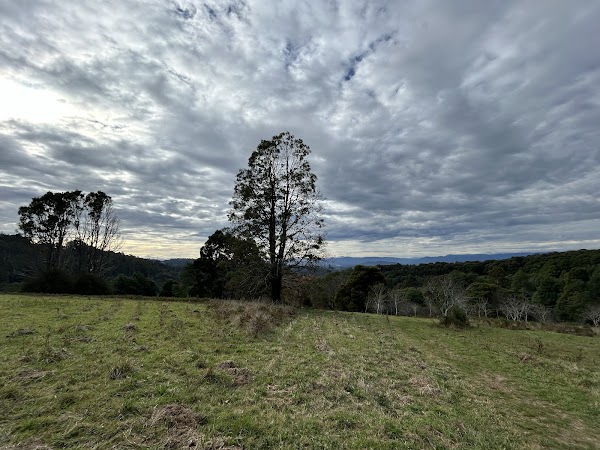 Mathias Walking Track 3